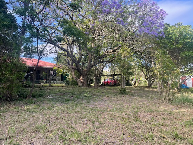 3 Bedroom Property for Sale in Summerpride Eastern Cape